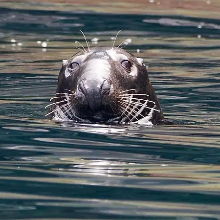 Bru Chlann Lir B&B 벨물릿