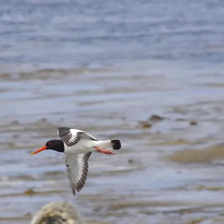 Bru Chlann Lir 3* Belmullet