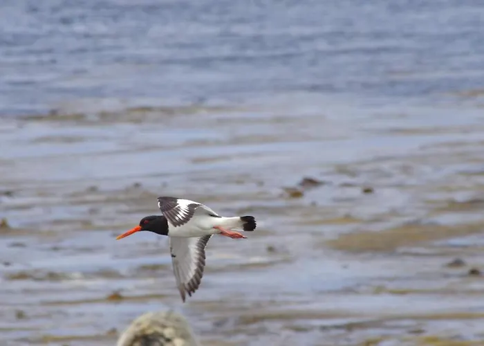 Bru Chlann Lir 3* Belmullet